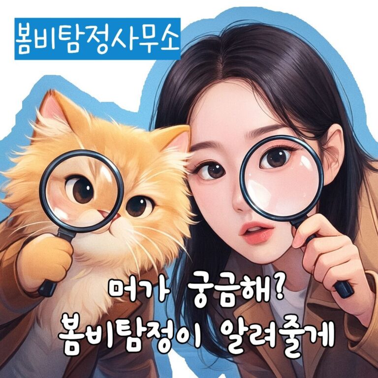 어바웃페이지 이미지