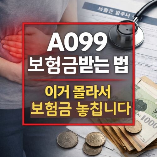 A099 질병코드 실비 보험금 청구